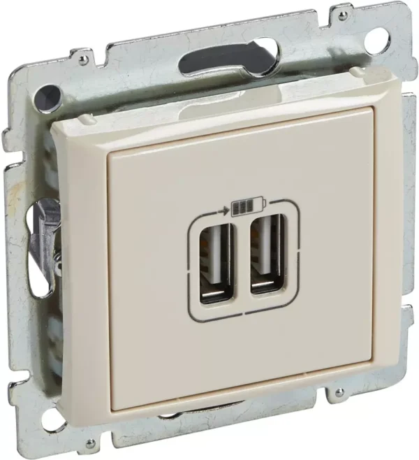 Розетка двойная USB слоновая кость